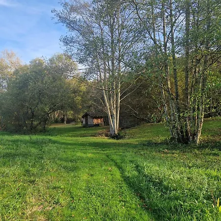 La Closerie Des Cedres 4 Etoiles Feriehus Gavaudun
