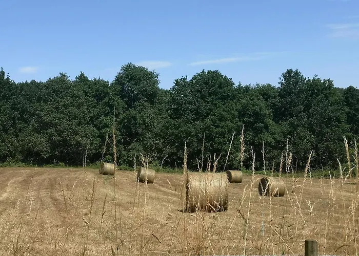 La Closerie Des Cedres *