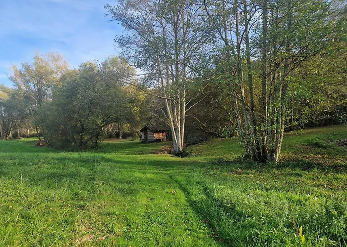 La Closerie Des Cedres Ferienhaus Gavaudun